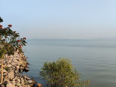 -深圳湾公园(南山区)