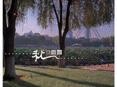 -裕华世纪公园
