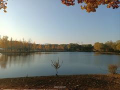 -石家庄市植物园