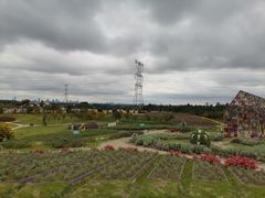-紫颐香薰山谷景区
