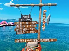 -养马岛旅游度假区