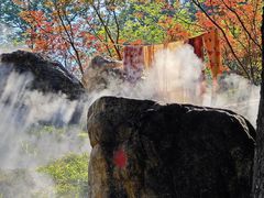 -广州市帽峰山景区