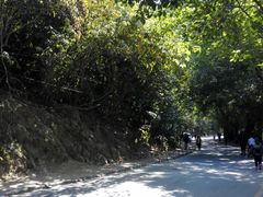 -火炉山森林公园