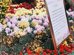 -迎泽公园