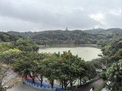 -西樵山风景名胜区-天湖公园