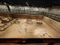 -洛阳周王城天子驾六博物馆