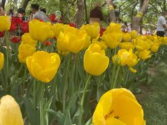 -石家庄市植物园