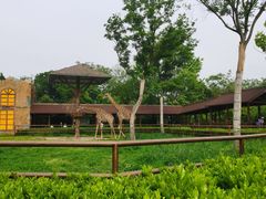 -扬州市茱萸湾风景区