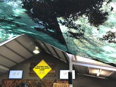 -热带雨林自然公园
