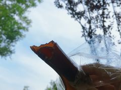 -灞河西岸滨河公园