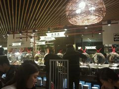 -鼎香缘海鲜自助火锅烤肉(锦辉购物广场店)