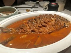 -阿五黄河大鲤鱼(纬三路店)