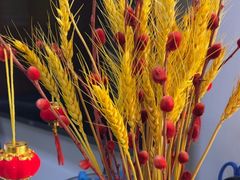 -自然之声助听器·呼吸机(和平店)