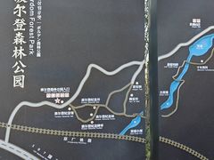-波尔登森林公园