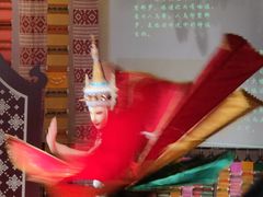 -西双版纳原始森林公园