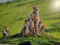 -罗红摄影艺术馆