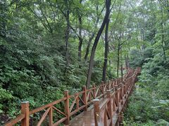 -大岭沟猕猴桃谷风景区