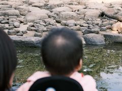 -无锡动物园·太湖欢乐园