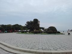 -贡湖湾湿地公园