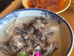 -蜀大侠火锅(总府路店)