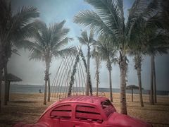 -玫瑰海岸文化旅游度假区