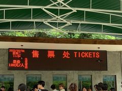 -将军关探险漂流