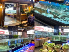 水产区-大家食府·福建菜(FAC协盛中心庭院餐厅店)