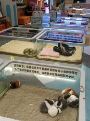 -meland亲子乐园•派对•研学(苏州悠方购物中心店)