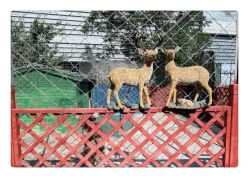 -萌宠亲子动物乐园(槐房万达店)