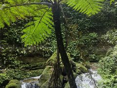 -赤水丹霞旅游区·佛光岩