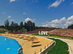 -北纬44度·金珠花海休闲农业旅游景区