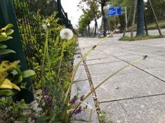 -永隆圣马可国际家居广场(江东中路店)