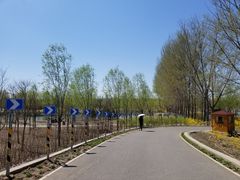 -东郊湿地公园