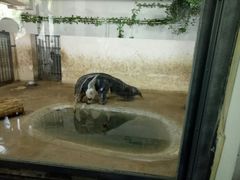 -石家庄市动物园