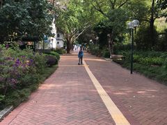 景点-九龙公园