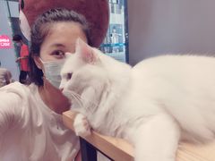 -瞄一喵猫咖(格力海岸店)