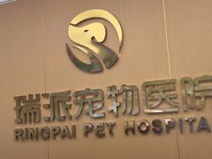 -瑞派康怡24h宠物医院·犬猫医疗中心·微创绝育(瑞景分院)