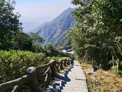 -梧桐山风景名胜区