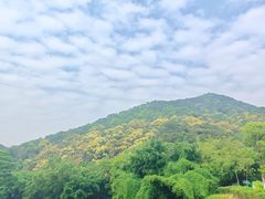 -大雁山风景区
