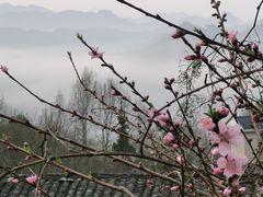 -石潭村