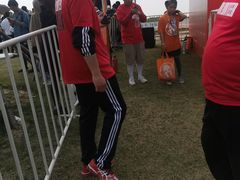 -春花秋色城市公园