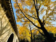 -灵谷景区