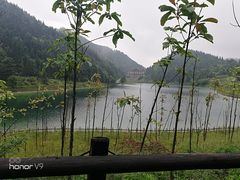 -武陵山森林公园