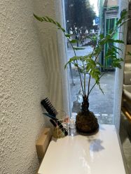 -菲·木田moontin造型salon