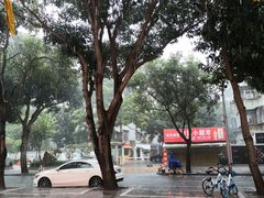 -万山楼海鲜酒家·二十三年老字号