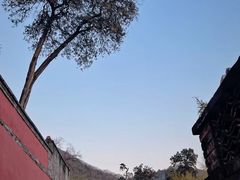 -潭柘寺景区