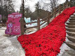 -洛阳白云山景区