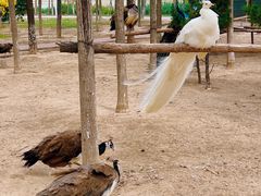-南大港湿地风景区