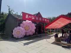 -曹州牡丹园