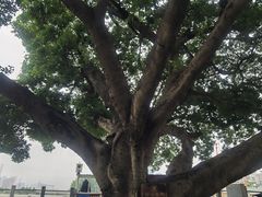 -黄埔古港